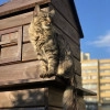 Исполнитель №139818, стаж 20 лет