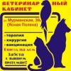 Исполнитель №139823, стаж менее 1 года