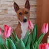 Исполнитель №139845, стаж менее 1 года