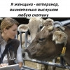 Исполнитель №139869, стаж 4 года