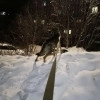 Исполнитель №139912, стаж 15 лет