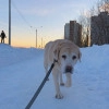 Исполнитель №139933, стаж 10 лет