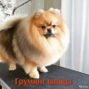Исполнитель №139958, стаж менее 1 года
