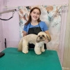 Исполнитель №139975, стаж 1 год