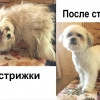 Исполнитель №139994, стаж 30 лет