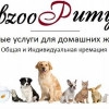 Исполнитель №140066, стаж менее 1 года