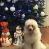 Исполнитель №140114, стаж 5 лет