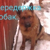 Исполнитель №140211, стаж менее 1 года