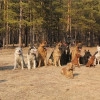 Исполнитель №140274, стаж 1 год