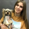 Исполнитель №140319, стаж более 30 лет