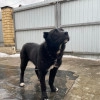 Исполнитель №140322, стаж 3 года