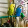Исполнитель №140416, стаж 30 лет