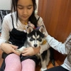 Исполнитель №140424, стаж 15 лет