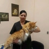 Исполнитель №140441, стаж 5 лет