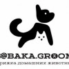 Исполнитель №140489, стаж 25 лет