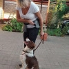 Исполнитель №140536, стаж 4 года