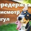 Исполнитель №140596, стаж 2 года