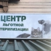 Исполнитель №140619, стаж 4 года