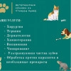 Исполнитель №140704, стаж 20 лет