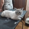 Исполнитель №140710, стаж 25 лет