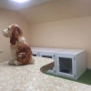 Исполнитель №140717, стаж менее 1 года