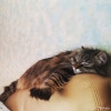 Исполнитель №140758, стаж 30 лет