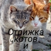 Исполнитель №140913, стаж 2 года