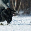 Исполнитель №140935, стаж 5 лет