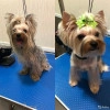 Исполнитель №140937, стаж 25 лет