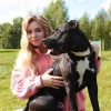 Исполнитель №140949, стаж более 30 лет