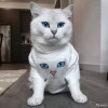 Исполнитель №140958, стаж 15 лет