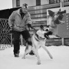 Исполнитель №140998, стаж 4 года