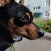 Исполнитель №141095, стаж 1 год