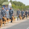 Исполнитель №141111, стаж 15 лет