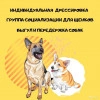 Исполнитель №141136, стаж 30 лет