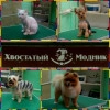 Исполнитель №141146, стаж более 30 лет