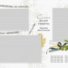 Исполнитель №141492, стаж 4 года