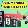 Исполнитель №142398, стаж 20 лет