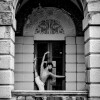 Исполнитель №142750, стаж 2 года