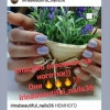Исполнитель №143877, стаж 2 года