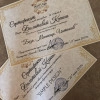 Исполнитель №144347, стаж 2 года