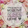 Исполнитель №147173, стаж менее 1 года
