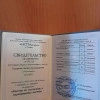 Исполнитель №147648, стаж 2 года