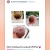 Исполнитель №150943, стаж 20 лет