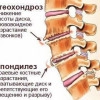 Исполнитель №154053, стаж 15 лет