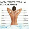 Исполнитель №154586, стаж менее 1 года