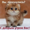 Исполнитель №154971, стаж 10 лет