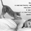 Исполнитель №155019, стаж 10 лет