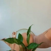 Исполнитель №155045, стаж 3 года
