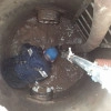 Исполнитель №159509, стаж 4 года